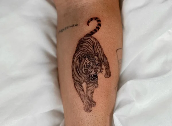 Tatuaje de un tigre corriendo en el antebrazo, con detalles realistas y expresión feroz, sobre un fondo de sábanas blancas.